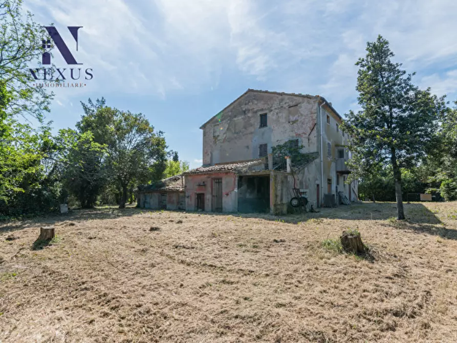 Immagine 51 di Rustico / casale in vendita  in Strada Vincareto a San Costanzo