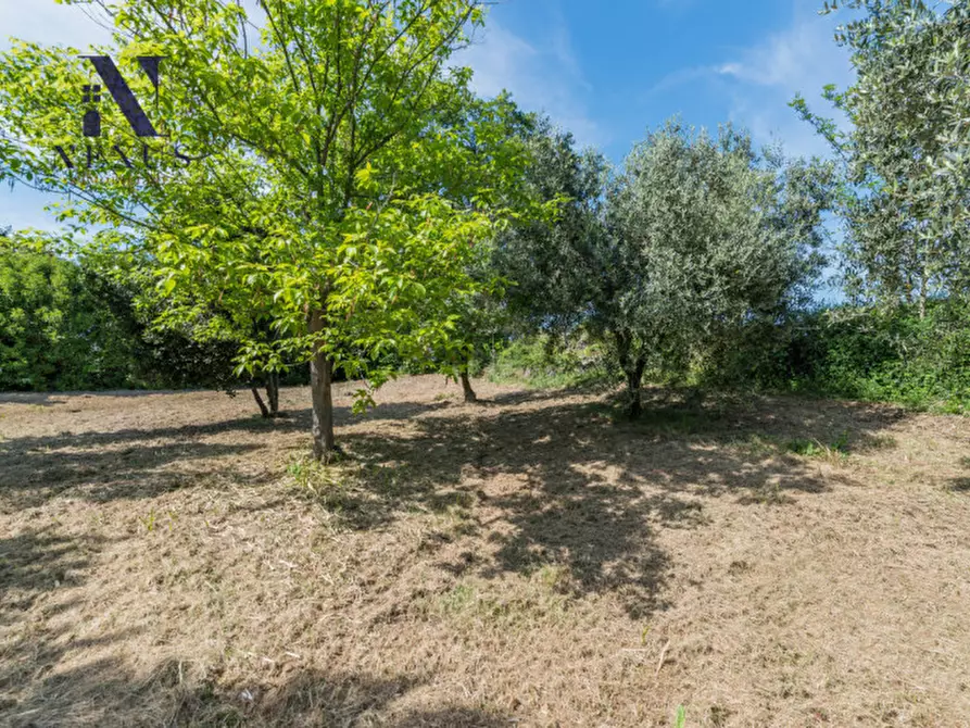 Immagine 52 di Rustico / casale in vendita  in Strada Vincareto a San Costanzo