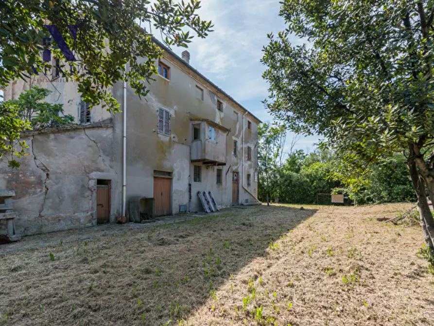 Immagine 53 di Rustico / casale in vendita  in Strada Vincareto a San Costanzo