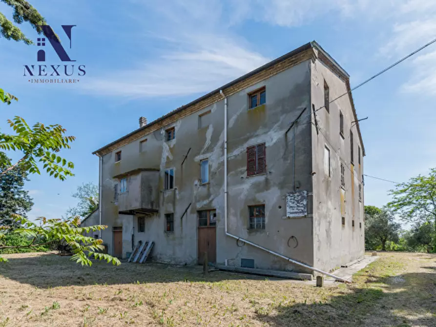 Immagine 56 di Rustico / casale in vendita  in Strada Vincareto a San Costanzo
