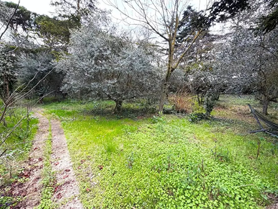 Immagine 4 di Casa bifamiliare in vendita  in via Don Lorenzo Milani a Misano Adriatico