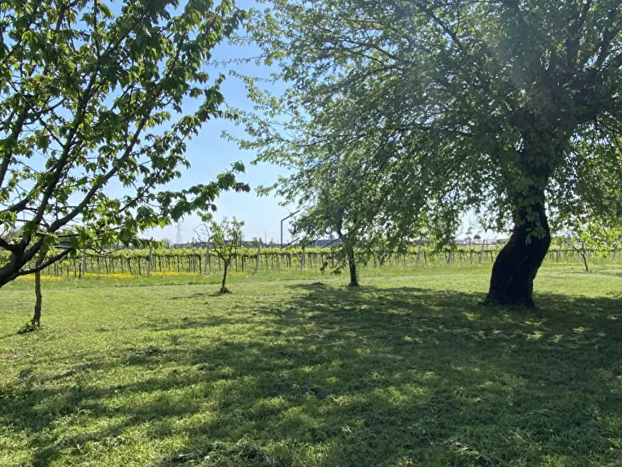 Immagine 7 di Rustico / casale in vendita  in Via Campagne 22 a Ormelle
