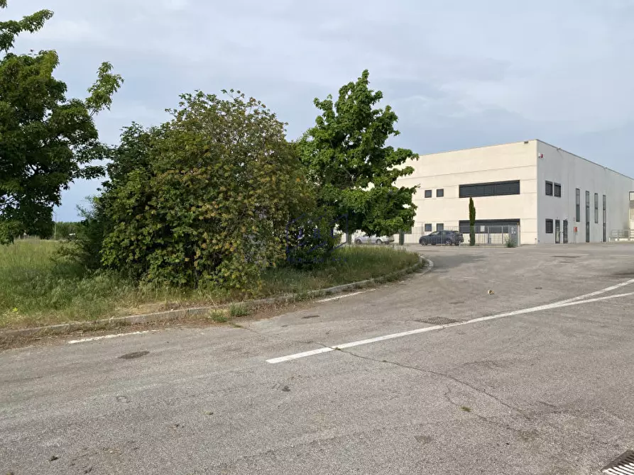 Immagine 8 di Terreno in vendita  in Via Roverat a Portobuffolè