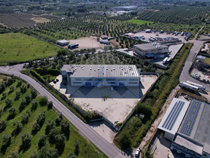 Immagine 1 di Capannone industriale in vendita  a Corato