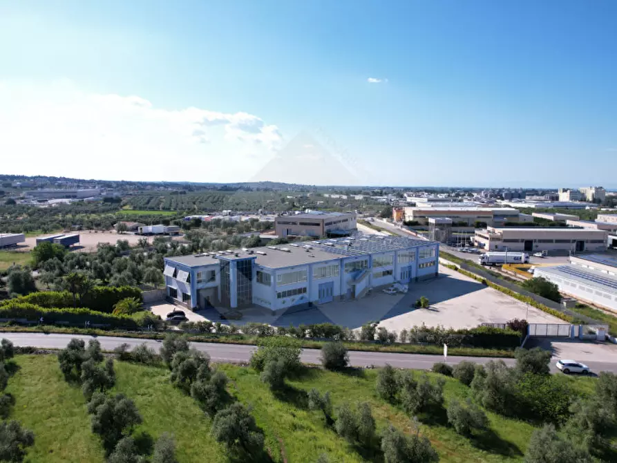 Immagine 2 di Capannone industriale in vendita  a Corato