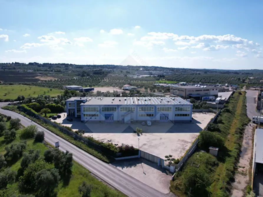 Immagine 3 di Capannone industriale in vendita  a Corato