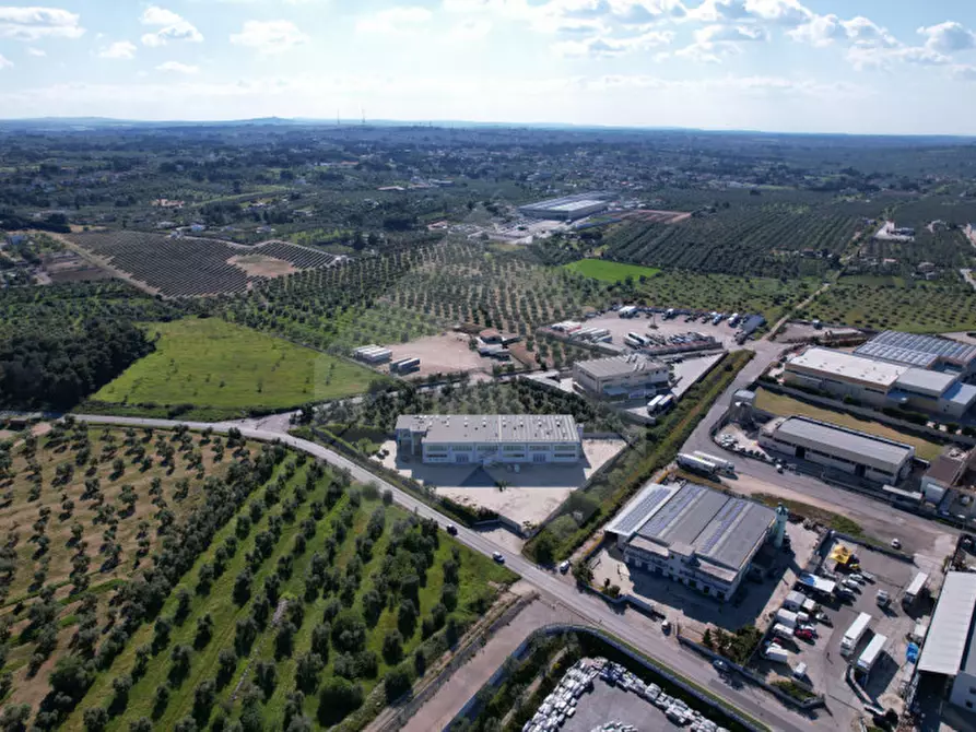 Immagine 4 di Capannone industriale in vendita  a Corato