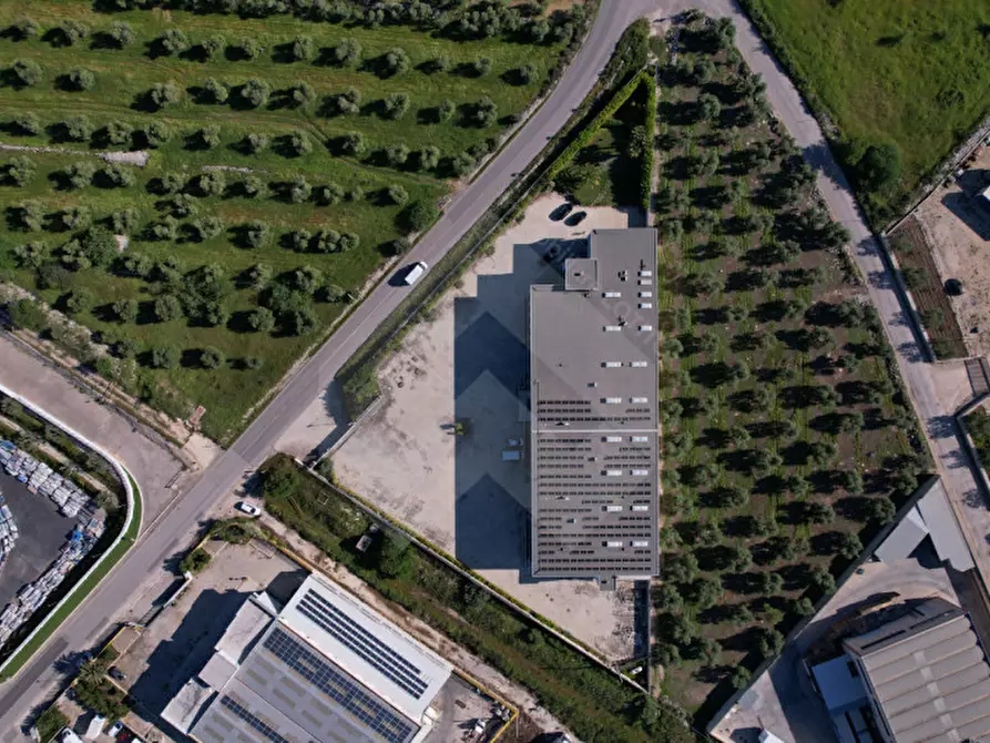 Immagine 5 di Capannone industriale in vendita  a Corato