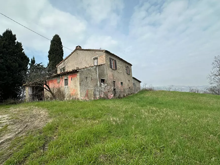 Immagine 1 di Rustico / casale in vendita  a Sogliano Al Rubicone