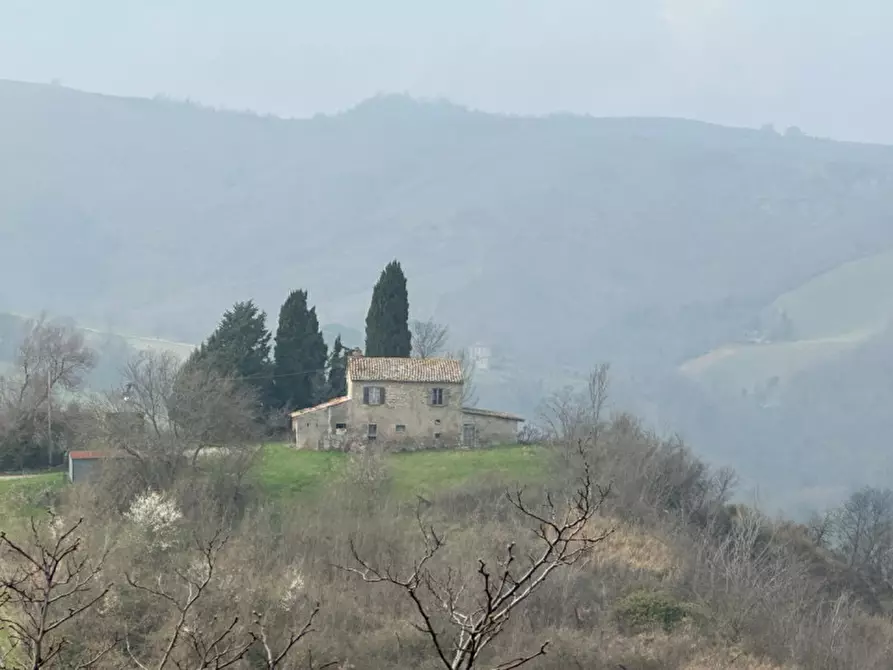 Immagine 2 di Rustico / casale in vendita  a Sogliano Al Rubicone