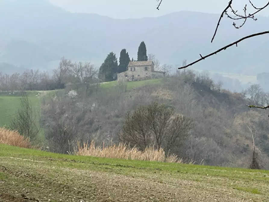 Immagine 3 di Rustico / casale in vendita  a Sogliano Al Rubicone