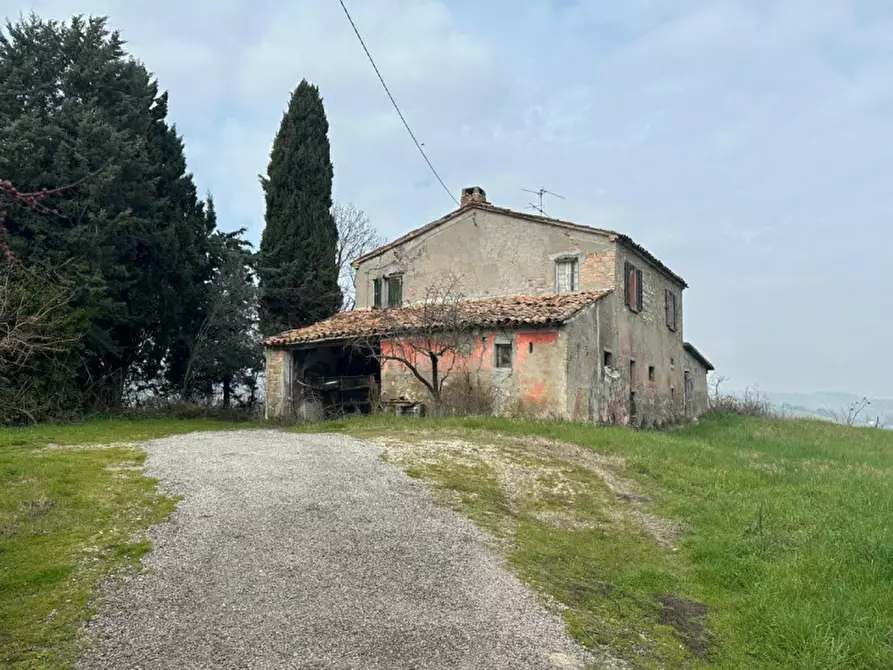 Immagine 4 di Rustico / casale in vendita  a Sogliano Al Rubicone