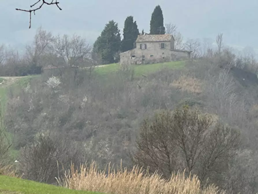 Immagine 5 di Rustico / casale in vendita  a Sogliano Al Rubicone