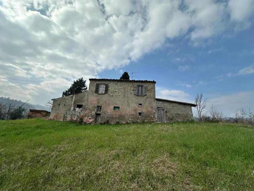 Immagine 6 di Rustico / casale in vendita  a Sogliano Al Rubicone
