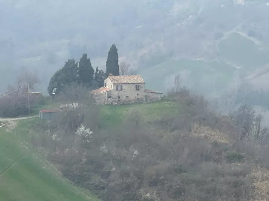 Immagine 7 di Rustico / casale in vendita  a Sogliano Al Rubicone
