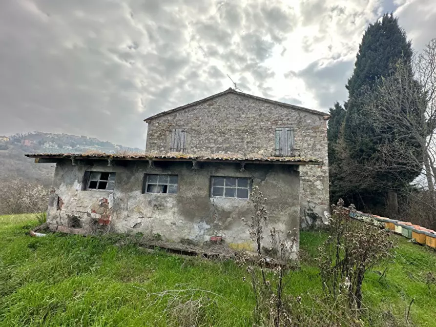 Immagine 9 di Rustico / casale in vendita  a Sogliano Al Rubicone
