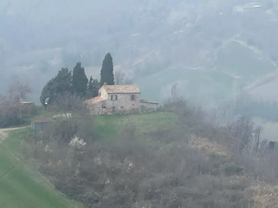 Immagine 10 di Rustico / casale in vendita  a Sogliano Al Rubicone