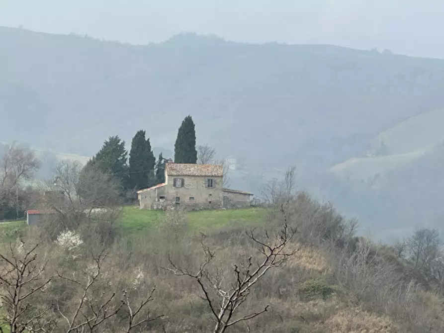 Immagine 11 di Rustico / casale in vendita  a Sogliano Al Rubicone