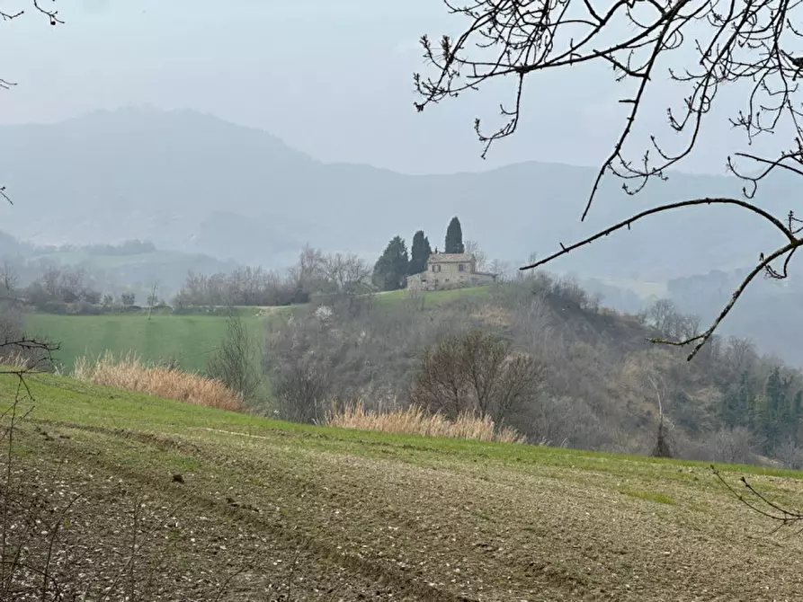 Immagine 12 di Rustico / casale in vendita  a Sogliano Al Rubicone