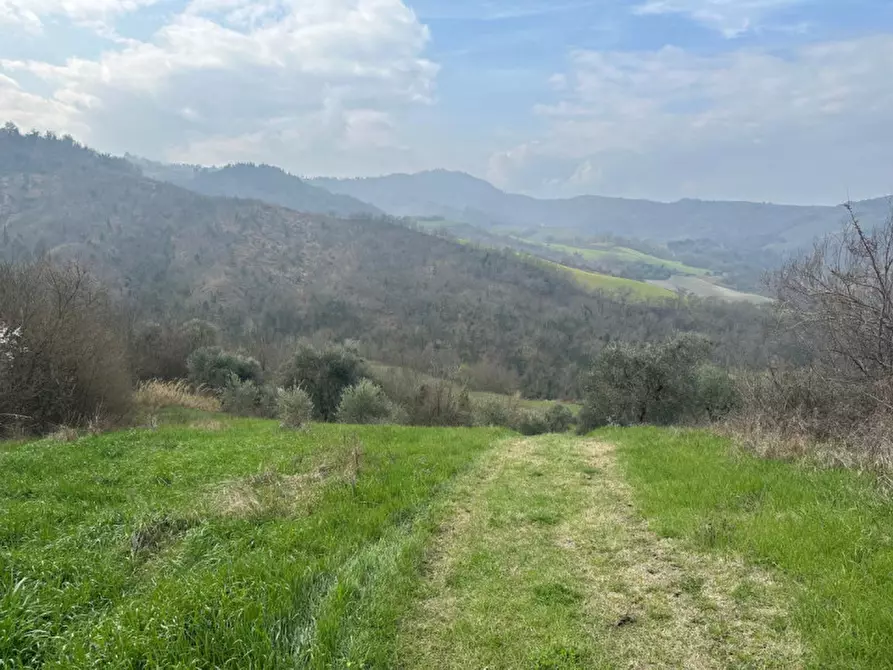 Immagine 13 di Rustico / casale in vendita  a Sogliano Al Rubicone