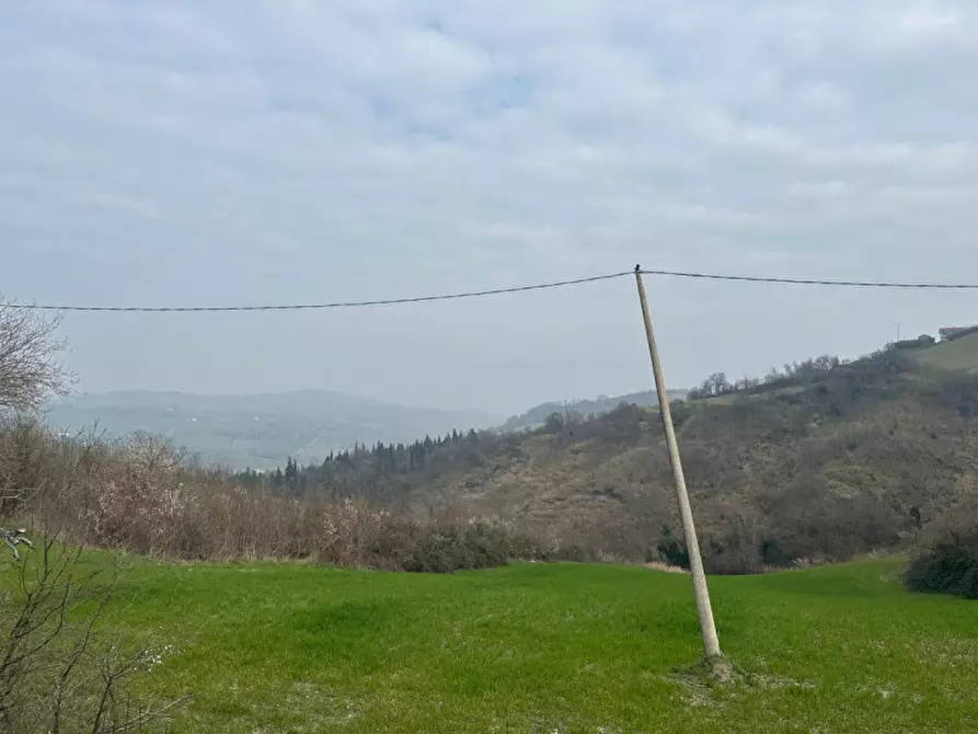 Immagine 14 di Rustico / casale in vendita  a Sogliano Al Rubicone