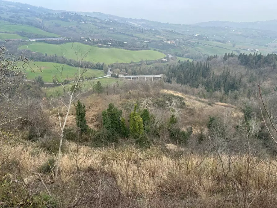 Immagine 15 di Rustico / casale in vendita  a Sogliano Al Rubicone