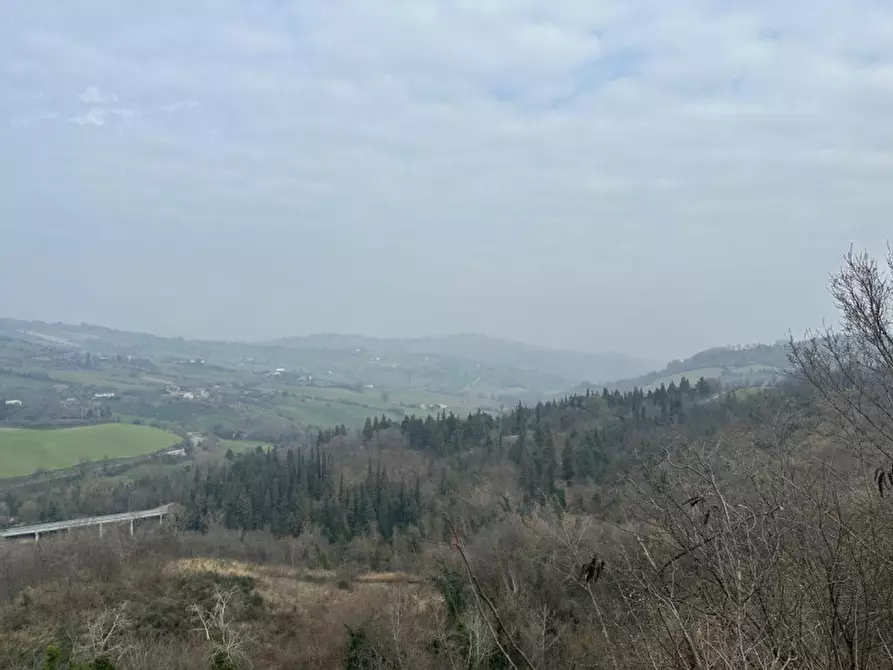 Immagine 16 di Rustico / casale in vendita  a Sogliano Al Rubicone