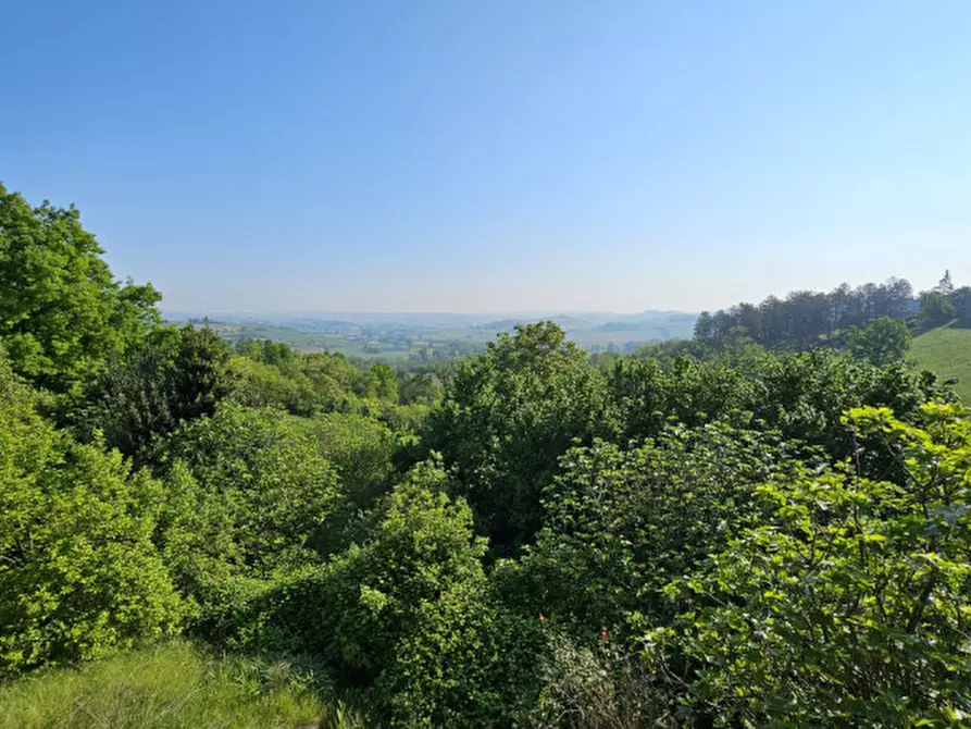Immagine 6 di Casa indipendente in vendita  in REGIONE VALLE 20 a Castell'alfero