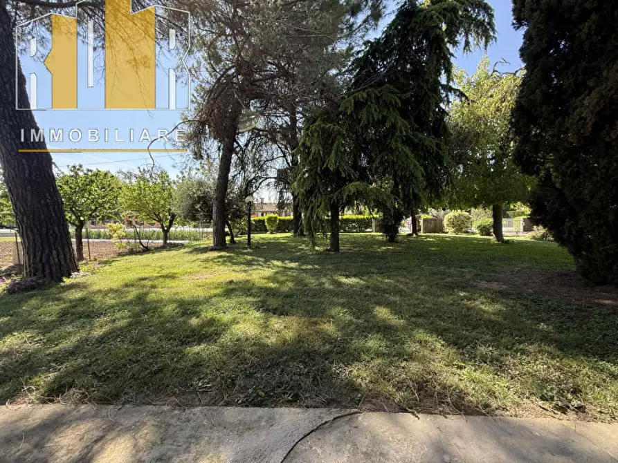Immagine 17 di Appartamento in vendita  a Correzzola