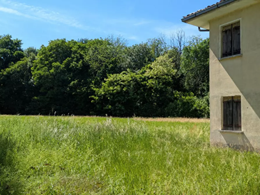Immagine 8 di Casa indipendente in vendita  in Via Bagnara a Gruaro