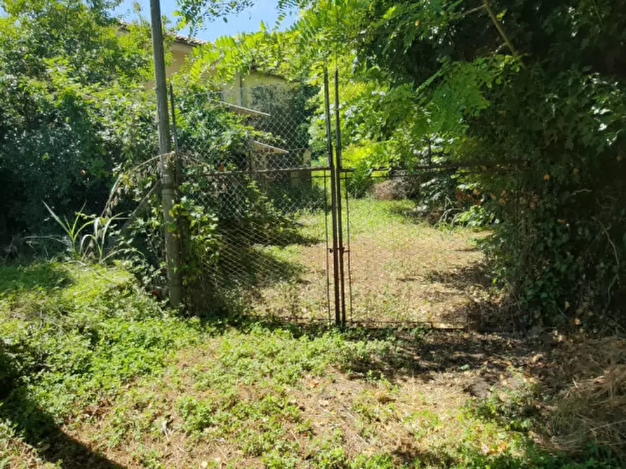 Immagine 11 di Casa indipendente in vendita  in Via Bagnara a Gruaro