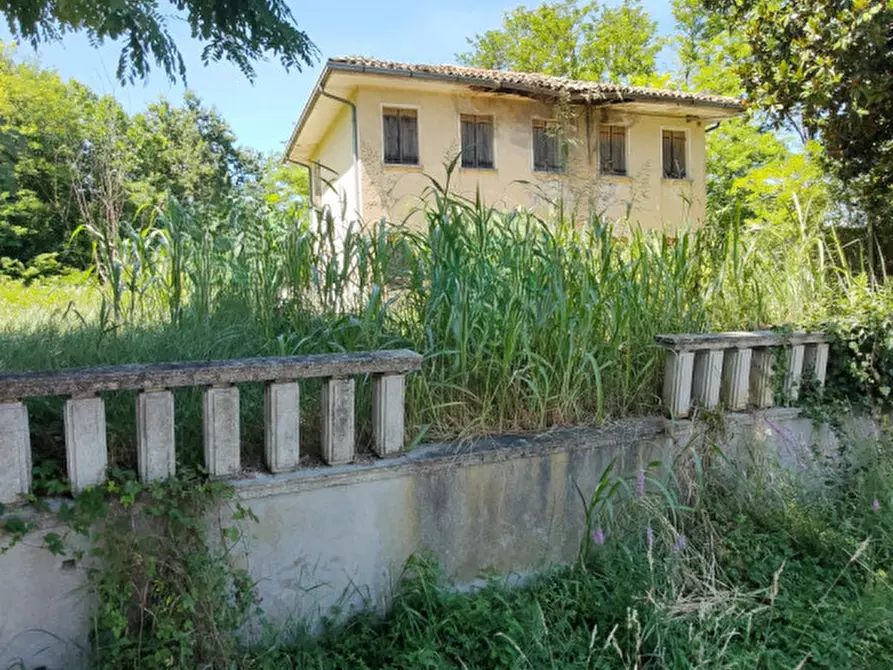 Immagine 14 di Casa indipendente in vendita  in Via Bagnara a Gruaro