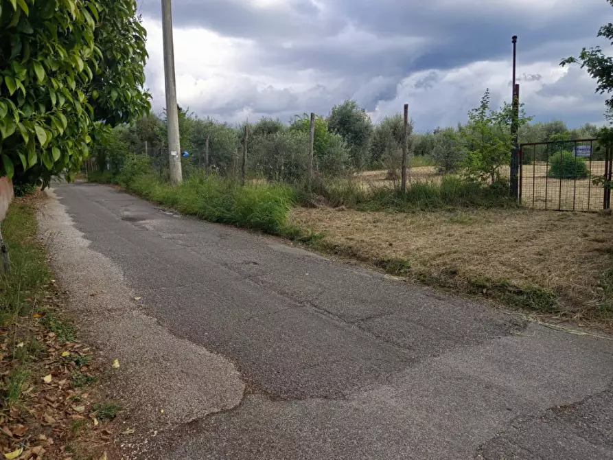 Immagine 1 di Rustico / casale in vendita  in Strada di Colle Massimiano a Palombara Sabina