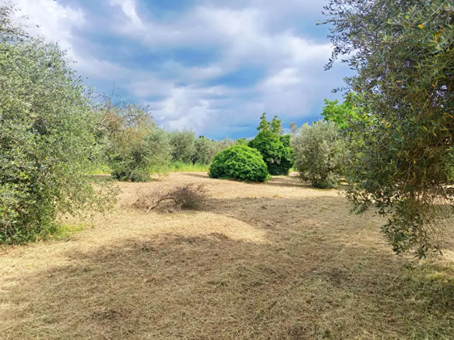 Immagine 3 di Rustico / casale in vendita  in Strada di Colle Massimiano a Palombara Sabina
