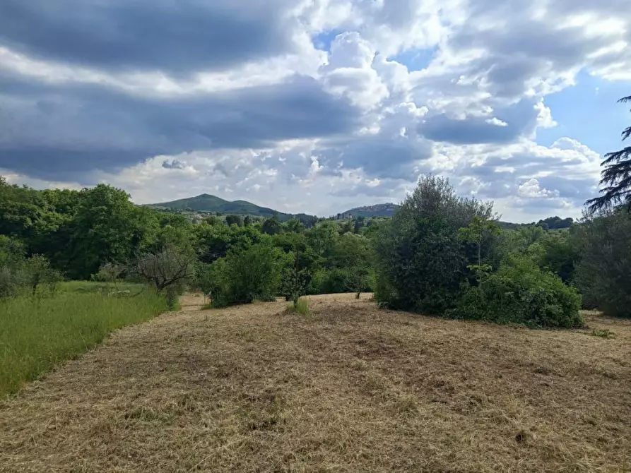 Immagine 4 di Rustico / casale in vendita  in Strada di Colle Massimiano a Palombara Sabina