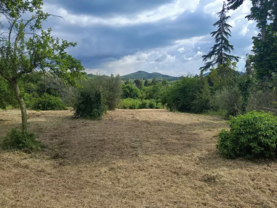 Immagine 5 di Rustico / casale in vendita  in Strada di Colle Massimiano a Palombara Sabina