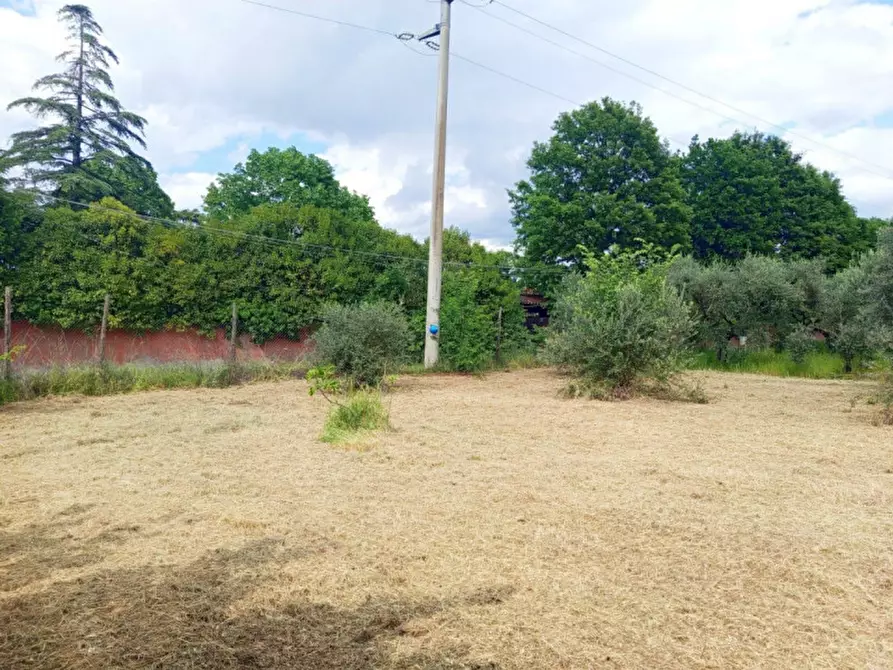 Immagine 6 di Rustico / casale in vendita  in Strada di Colle Massimiano a Palombara Sabina