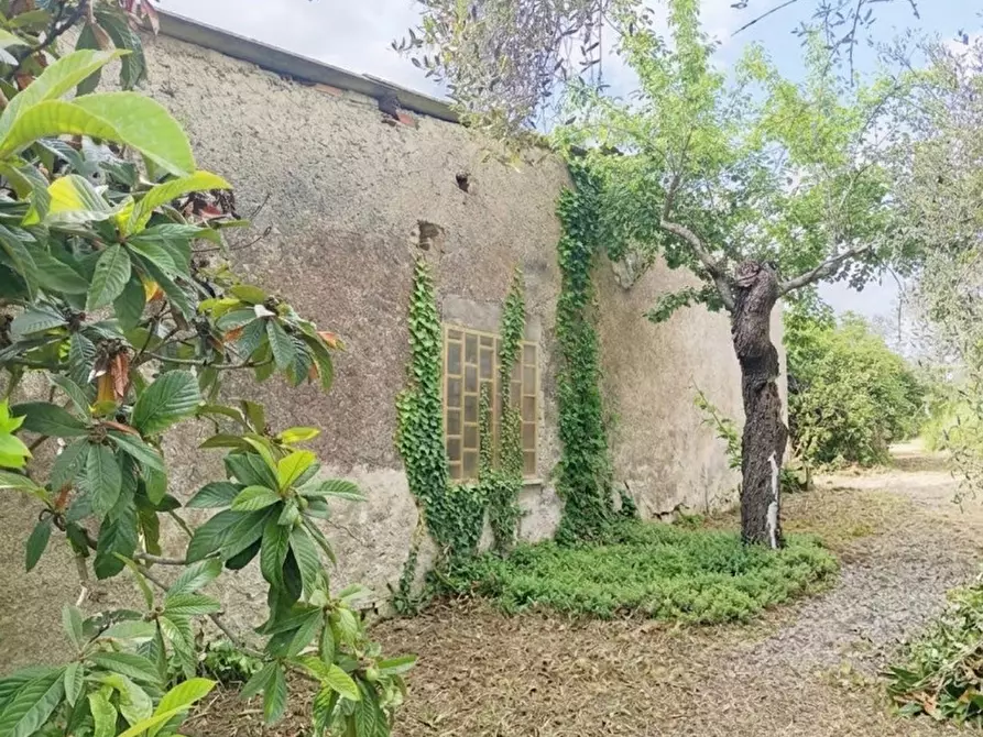 Immagine 7 di Rustico / casale in vendita  in Strada di Colle Massimiano a Palombara Sabina