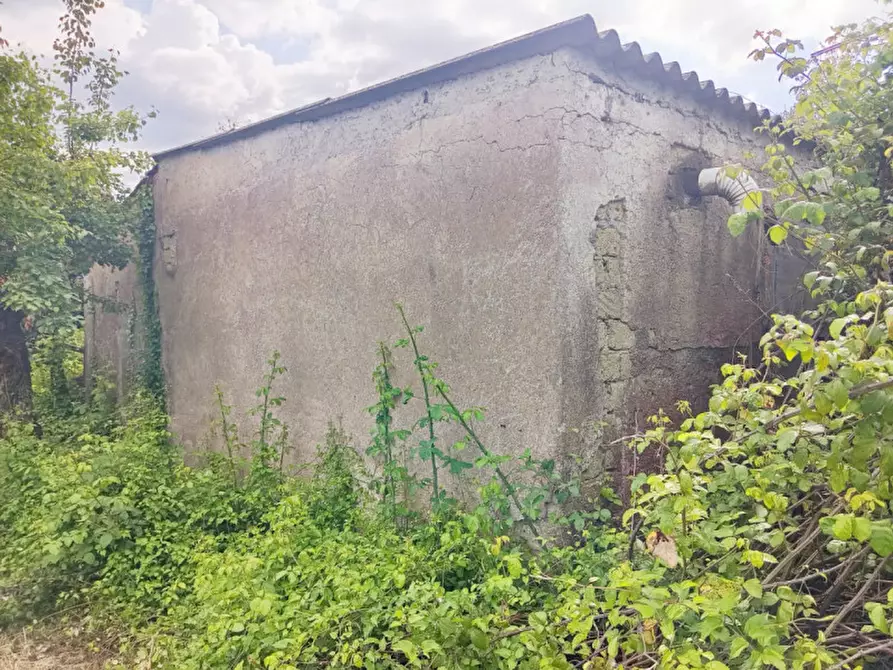Immagine 8 di Rustico / casale in vendita  in Strada di Colle Massimiano a Palombara Sabina