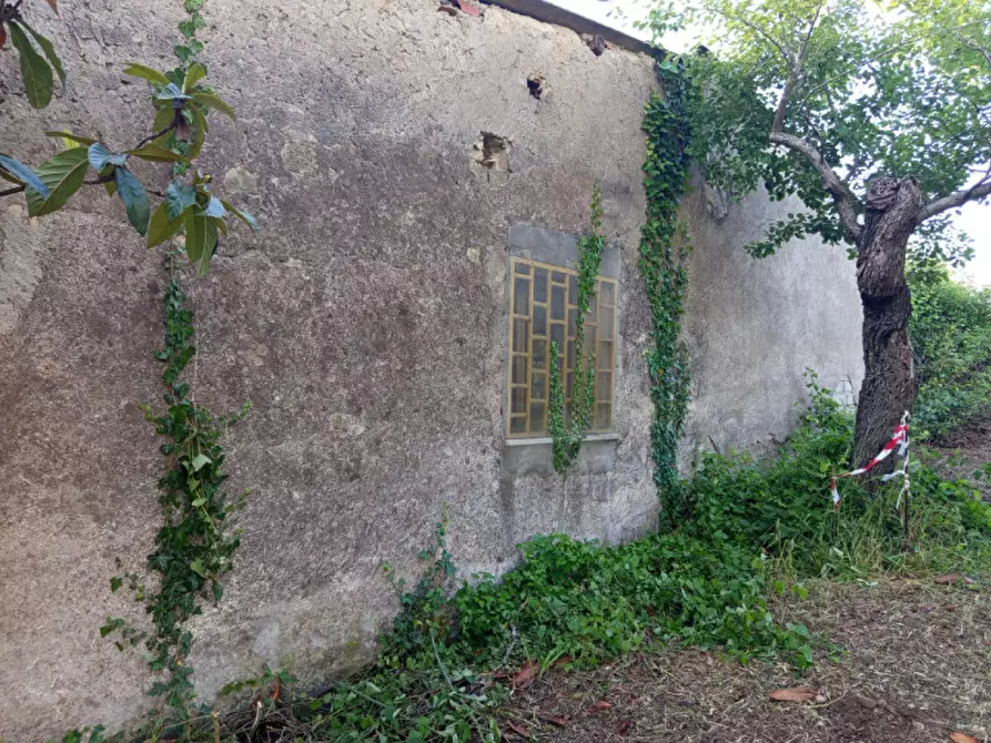 Immagine 15 di Rustico / casale in vendita  in Strada di Colle Massimiano a Palombara Sabina