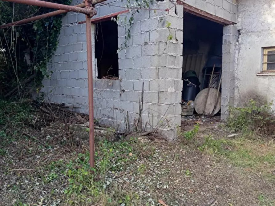 Immagine 18 di Rustico / casale in vendita  in Strada di Colle Massimiano a Palombara Sabina