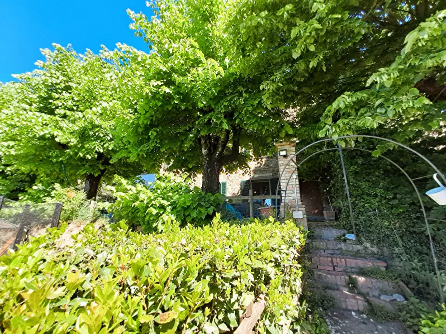 Immagine 2 di Villetta a schiera in vendita  a Passignano Sul Trasimeno