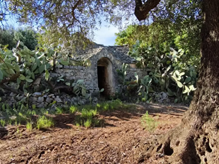 Immagine 3 di Rustico / casale in vendita  in Via Giardinelli a Fasano