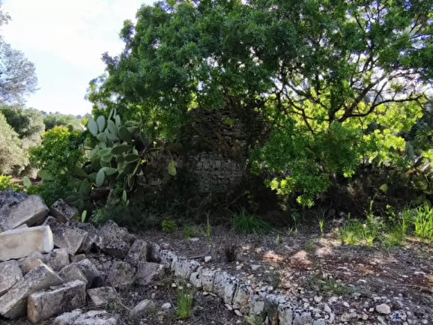 Immagine 6 di Rustico / casale in vendita  in Via Giardinelli a Fasano