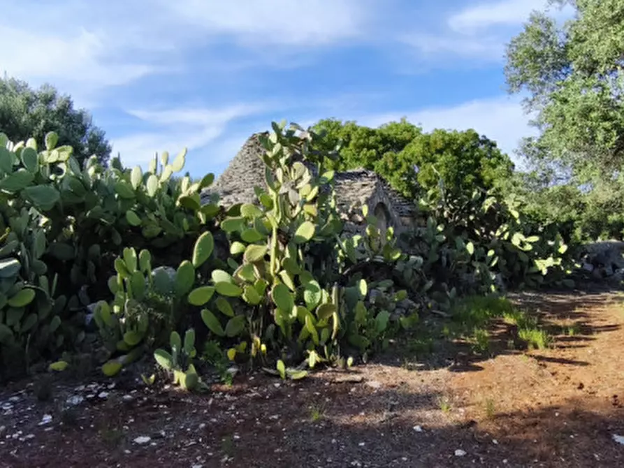 Immagine 8 di Rustico / casale in vendita  in Via Giardinelli a Fasano