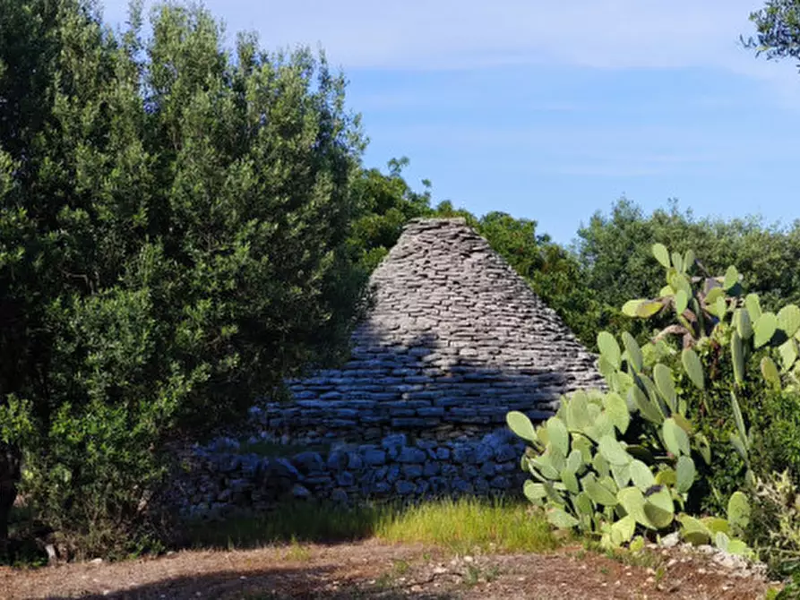 Immagine 10 di Rustico / casale in vendita  in Via Giardinelli a Fasano