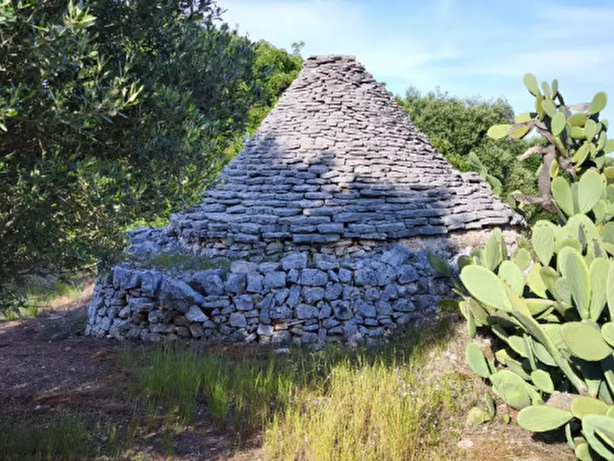 Immagine 11 di Rustico / casale in vendita  in Via Giardinelli a Fasano