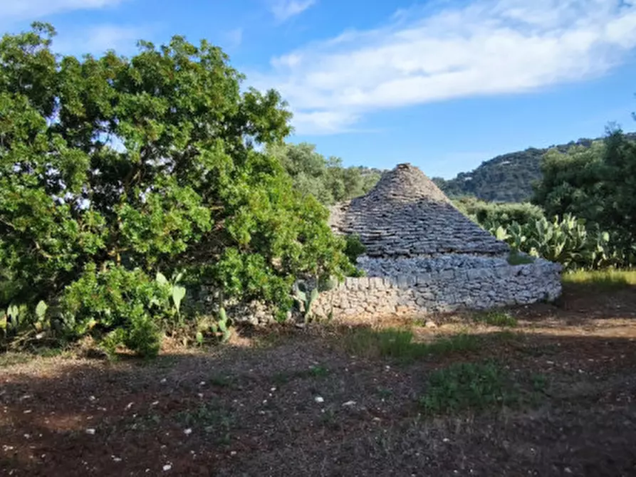 Immagine 13 di Rustico / casale in vendita  in Via Giardinelli a Fasano