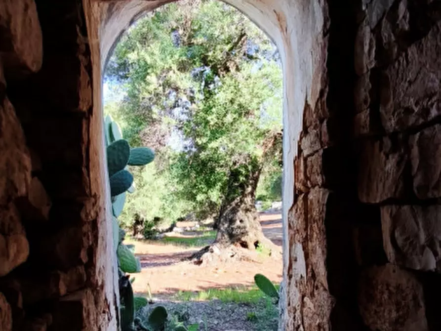 Immagine 21 di Rustico / casale in vendita  in Via Giardinelli a Fasano