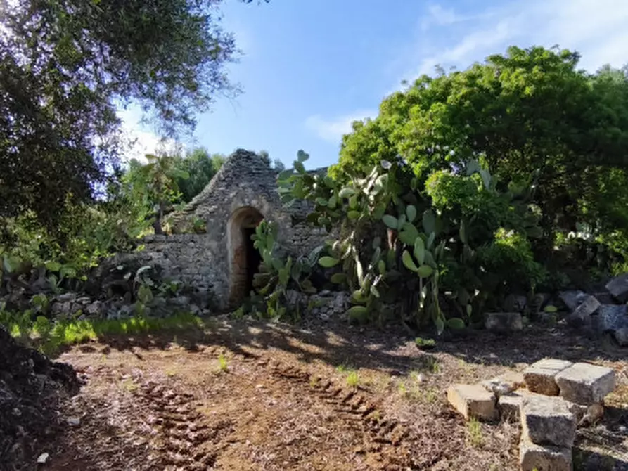 Immagine 22 di Rustico / casale in vendita  in Via Giardinelli a Fasano